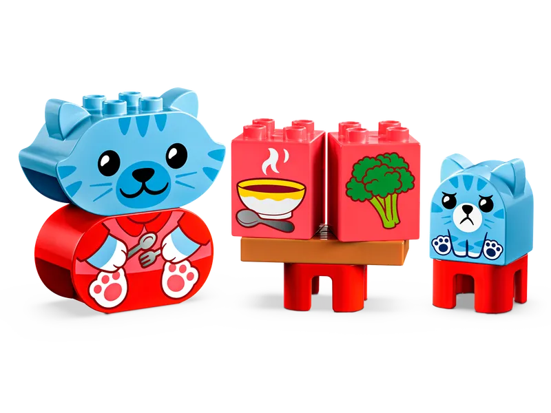 Daily Routines: Eating & Bedtime