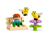 Caring for Bees & Beehives