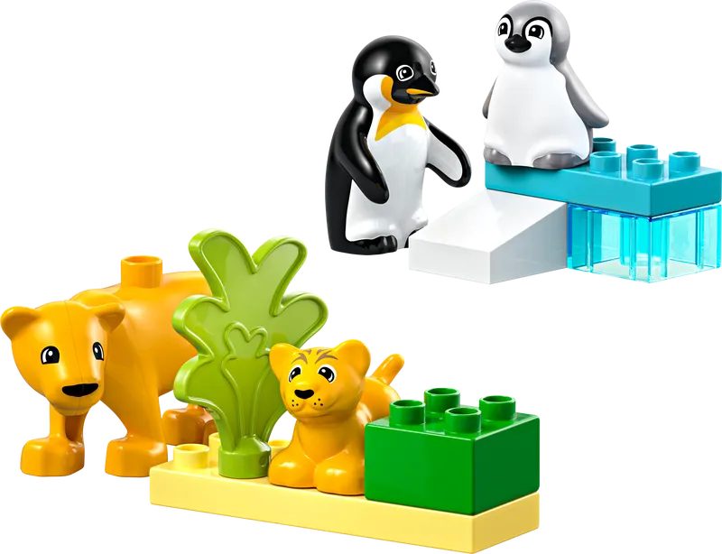 Wild Animal Families: Penguins & Lions
