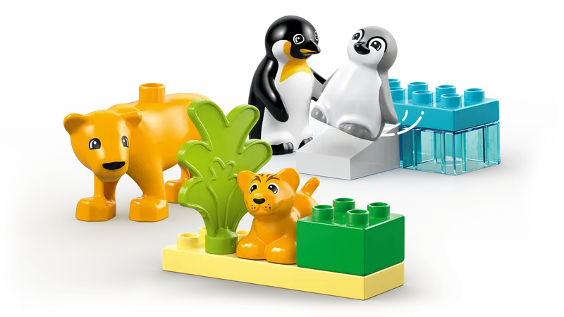 Wild Animal Families: Penguins & Lions