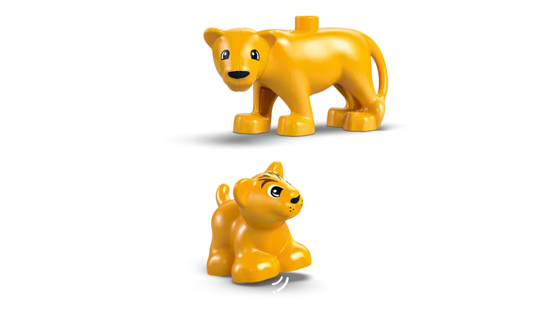 Wild Animal Families: Penguins & Lions
