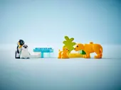 Wild Animal Families: Penguins & Lions