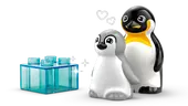 Wild Animal Families: Penguins & Lions
