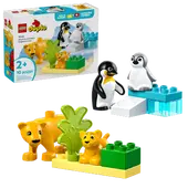 Wild Animal Families: Penguins & Lions