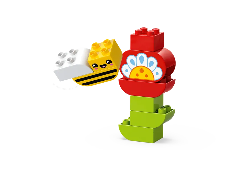 Creative Garden & Flowers