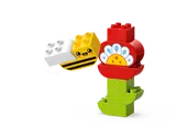 Creative Garden & Flowers
