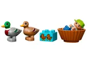 Forest: Ducks