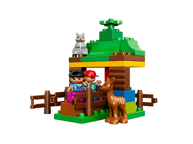 Forest: Animals
