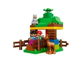 Forest: Animals