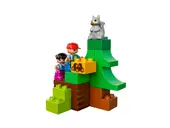 Forest: Animals
