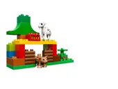 Forest: Animals