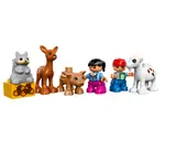 Forest: Animals
