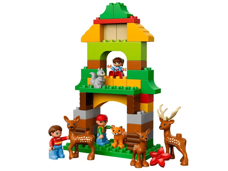 Forest: Park