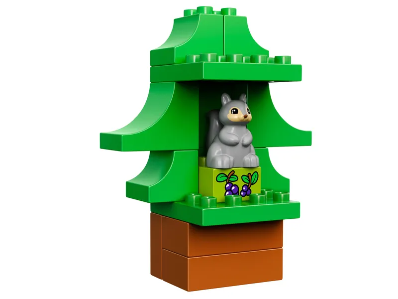 Forest: Park