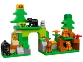 Forest: Park