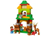 Forest: Park