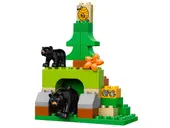 Forest: Park