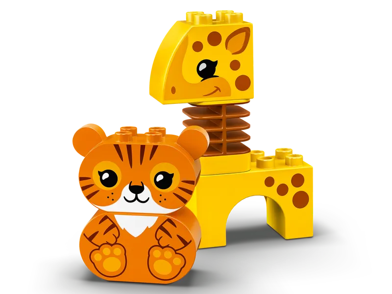 Animal Train