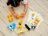 Animal Train