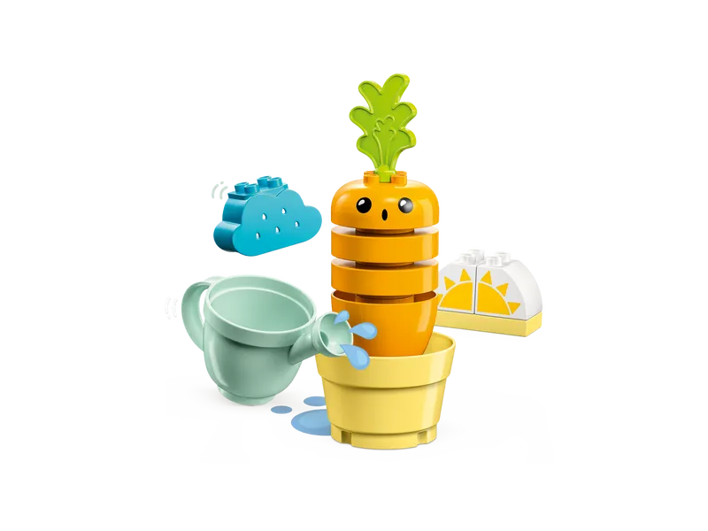 Growing Carrot