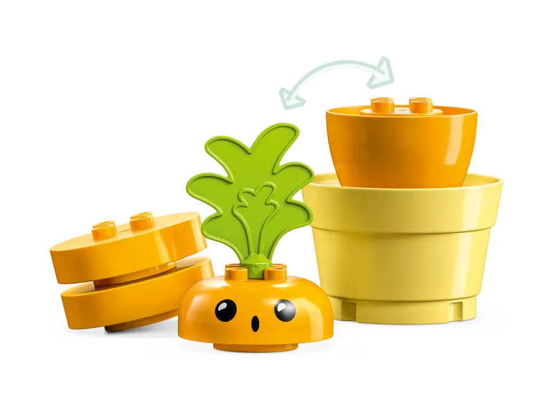 Growing Carrot