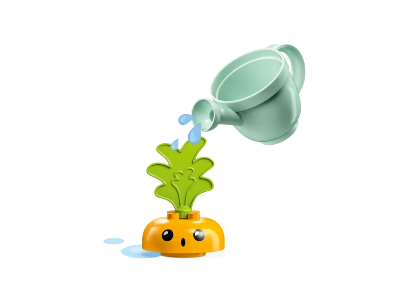 Growing Carrot