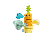 Growing Carrot