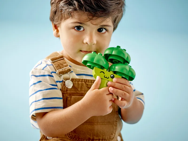 Fruit and Vegetable Tractor
