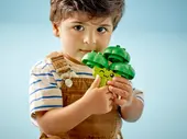 Fruit and Vegetable Tractor
