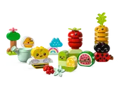 Organic Garden