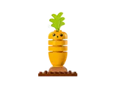 Organic Garden