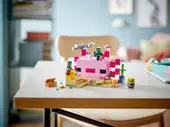 The Axolotl House