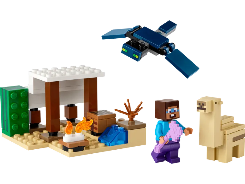 Steve's Desert Expedition