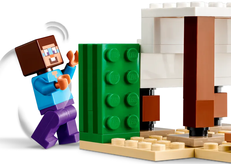 Steve's Desert Expedition