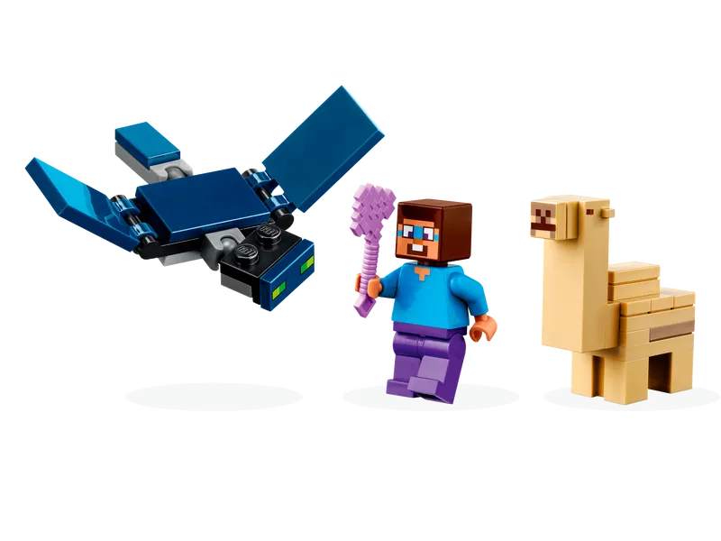 Steve's Desert Expedition