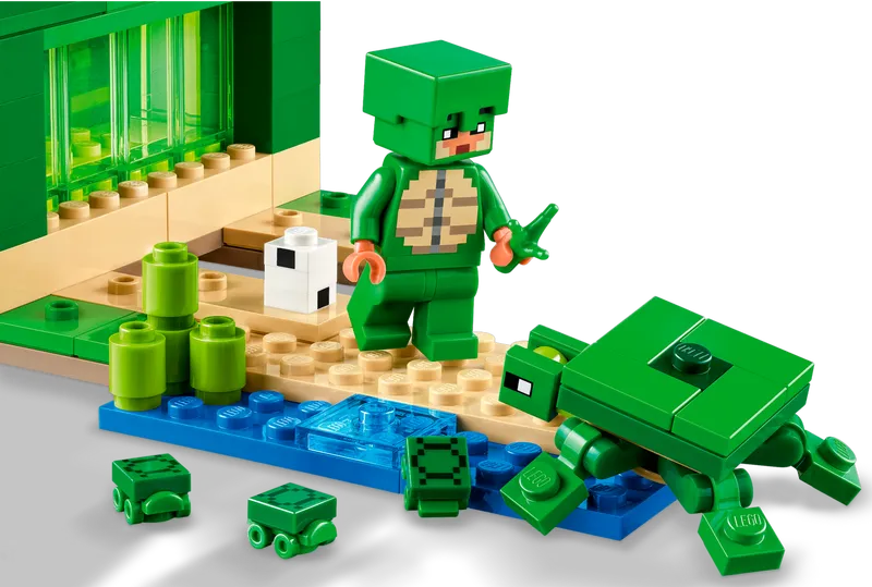 The Turtle Beach House