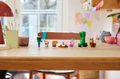 Baby Pig's Birthday Celebration