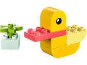 My First Duck