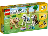 Adorable Dogs
