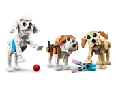 Adorable Dogs