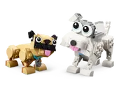 Adorable Dogs