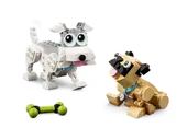 Adorable Dogs