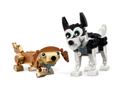 Adorable Dogs