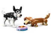 Adorable Dogs