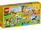 Adorable Dogs