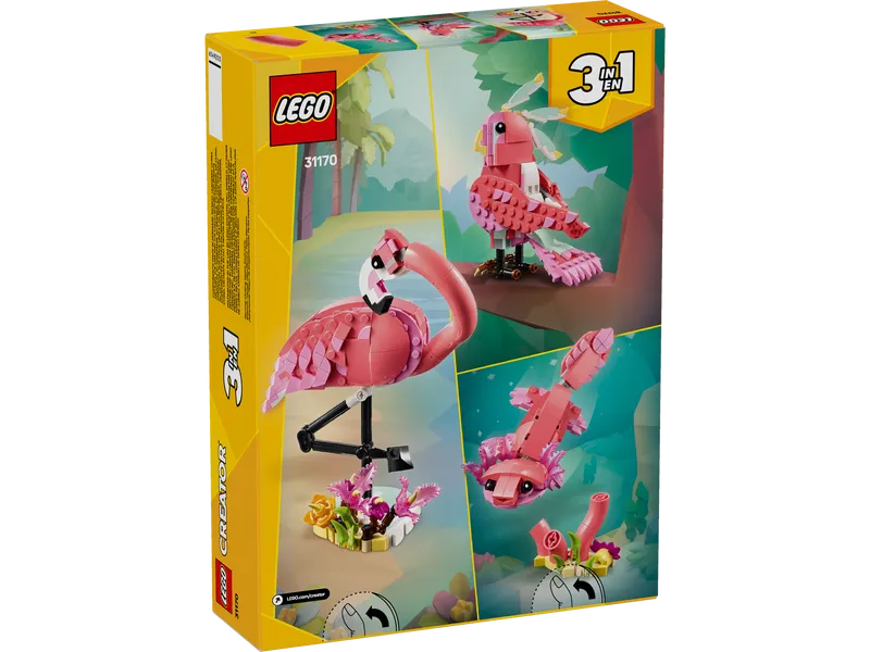 Wild Animals: Pink Flamingo