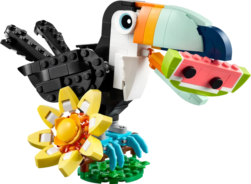 Wild Animals: Tropical Toucan