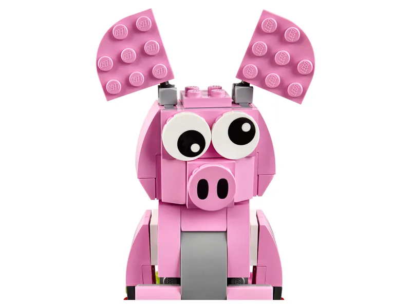 Year of the Pig