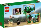 Jane Goodall Tribute