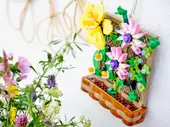 Flower Trellis Display
